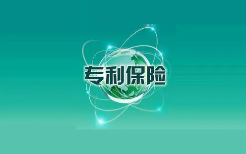 專利保險存在什么問題，對企業(yè)盈利有何影響？