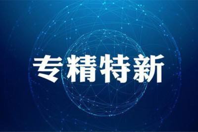 “專精特新”企業(yè)如何布局高質(zhì)量專利申請！?